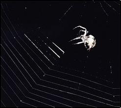 �˿�ɨ�辵ͷ��Ƶ���Ļ�����Ա���鸾���� ��10�������������...